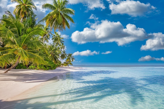 Cruise Brothers Travel Agent Teresa stewart